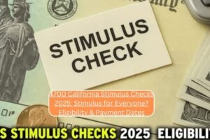 $700 California Stimulus Checks 2025: Stimulus for Everyone? Eligibility & Payment Dates